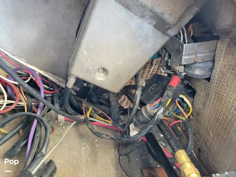 Slide: The Image of Hydra-Sports Vector 2500 WA 1990 - 15427959