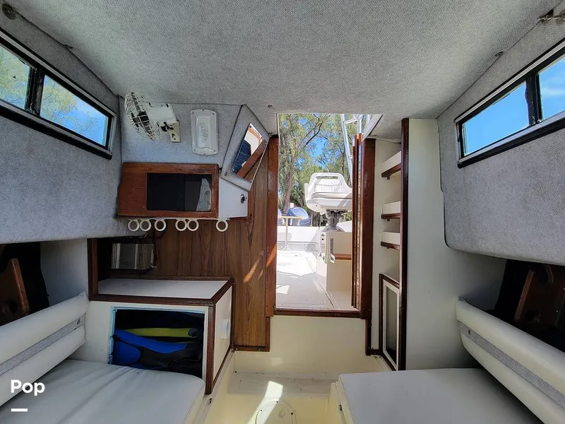 Slide: The Image of Hydra-Sports Vector 2500 WA 1990 - 15427924