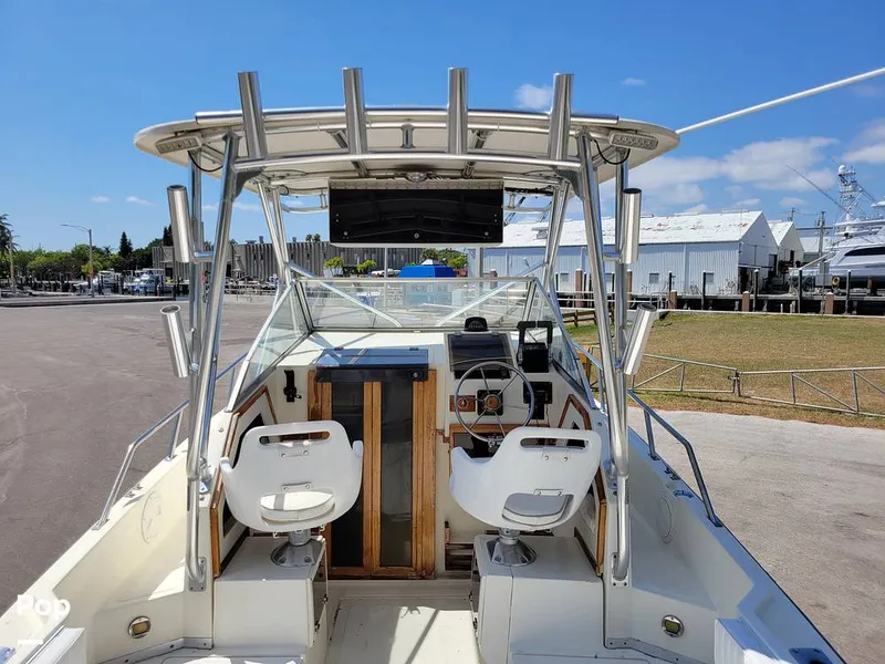 Slide: The Image of Hydra-Sports Vector 2500 WA 1990 - 15427638