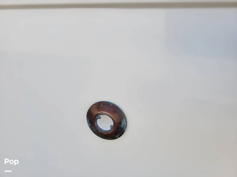 Slide: The Image of Hydra-Sports Vector 2500 WA 1990 - 15427990