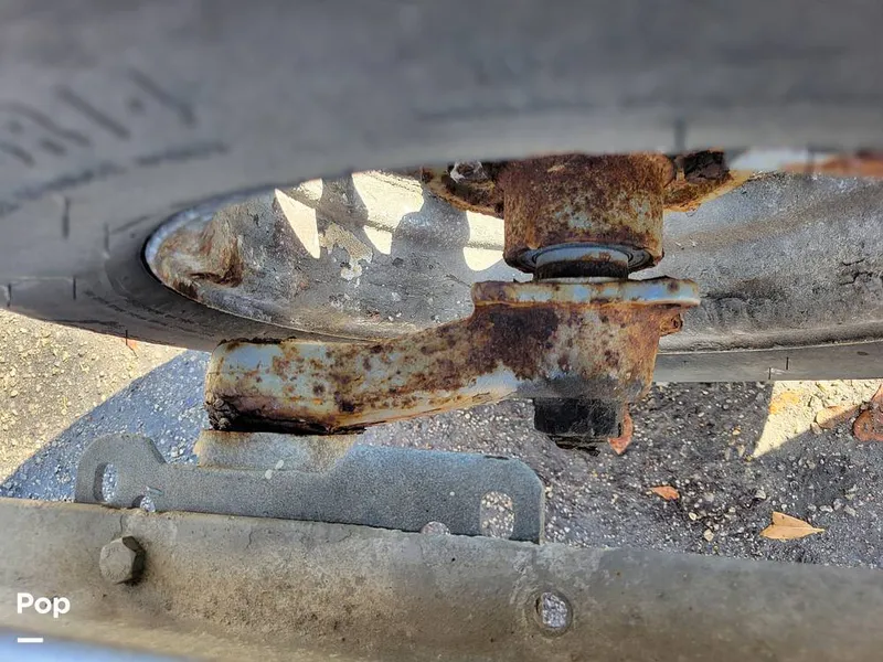 Slide: The Image of Hydra-Sports Vector 2500 WA 1990 - 15428007