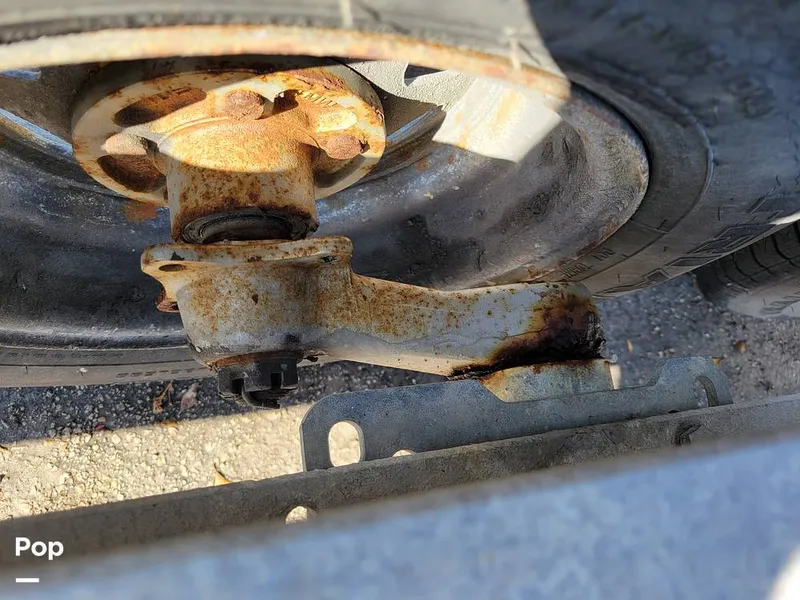 Slide: The Image of Hydra-Sports Vector 2500 WA 1990 - 15428009