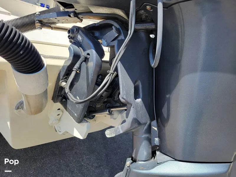 Slide: The Image of Hydra-Sports Vector 2500 WA 1990 - 15428029