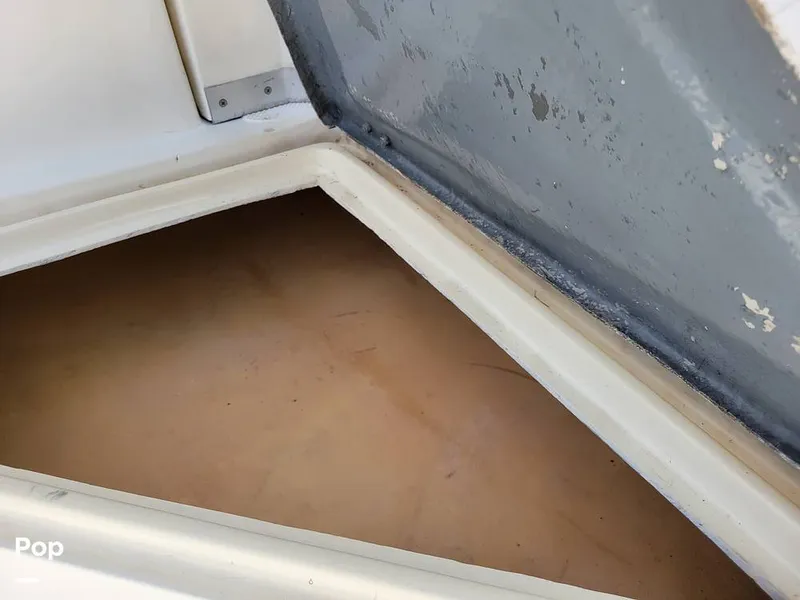 Slide: The Image of Hydra-Sports Vector 2500 WA 1990 - 15427640