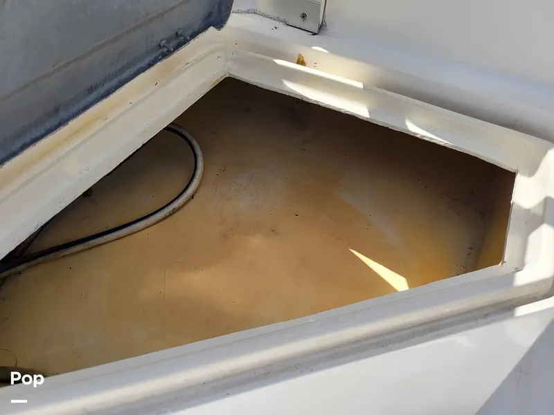 Slide: The Image of Hydra-Sports Vector 2500 WA 1990 - 15427642