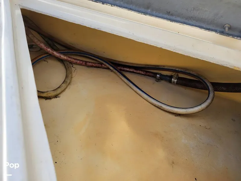 Slide: The Image of Hydra-Sports Vector 2500 WA 1990 - 15427643