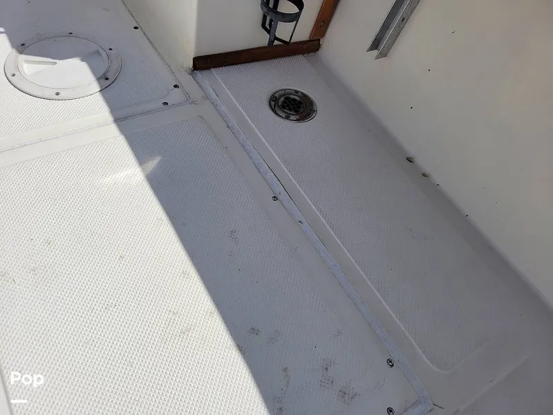 Slide: The Image of Hydra-Sports Vector 2500 WA 1990 - 15427646