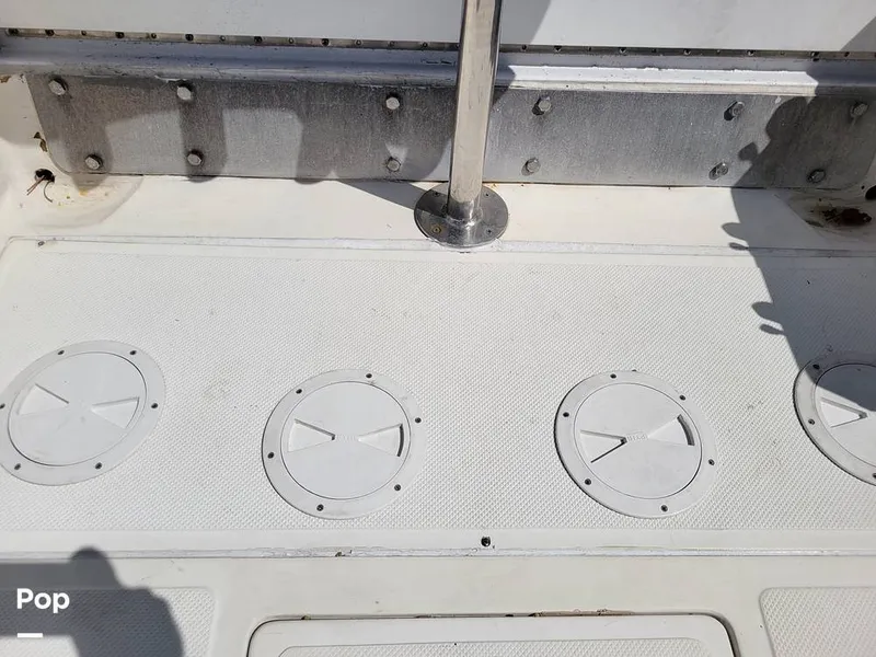 Slide: The Image of Hydra-Sports Vector 2500 WA 1990 - 15427648