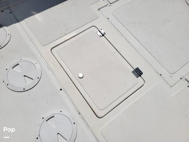 Slide: The Image of Hydra-Sports Vector 2500 WA 1990 - 15427649