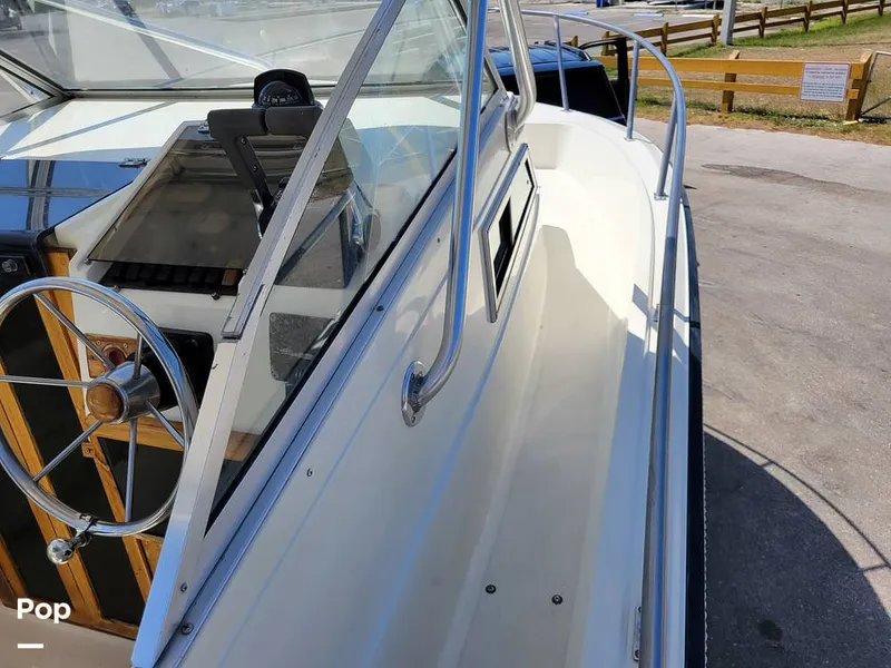 Slide: The Image of Hydra-Sports Vector 2500 WA 1990 - 15427658