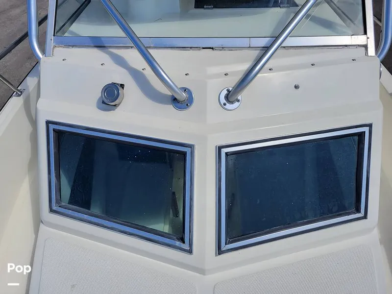 Slide: The Image of Hydra-Sports Vector 2500 WA 1990 - 15427667