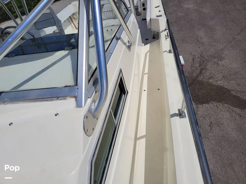 Slide: The Image of Hydra-Sports Vector 2500 WA 1990 - 15427675