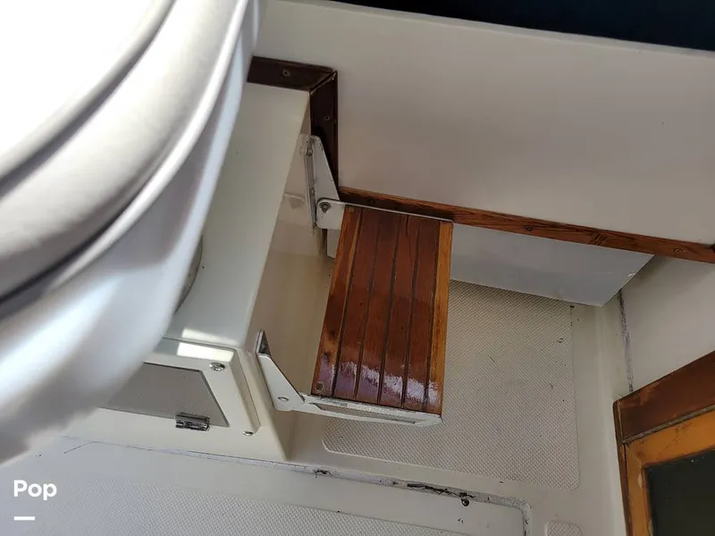 Slide: The Image of Hydra-Sports Vector 2500 WA 1990 - 15427901