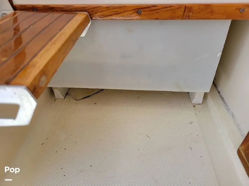 Slide: The Image of Hydra-Sports Vector 2500 WA 1990 - 15427902