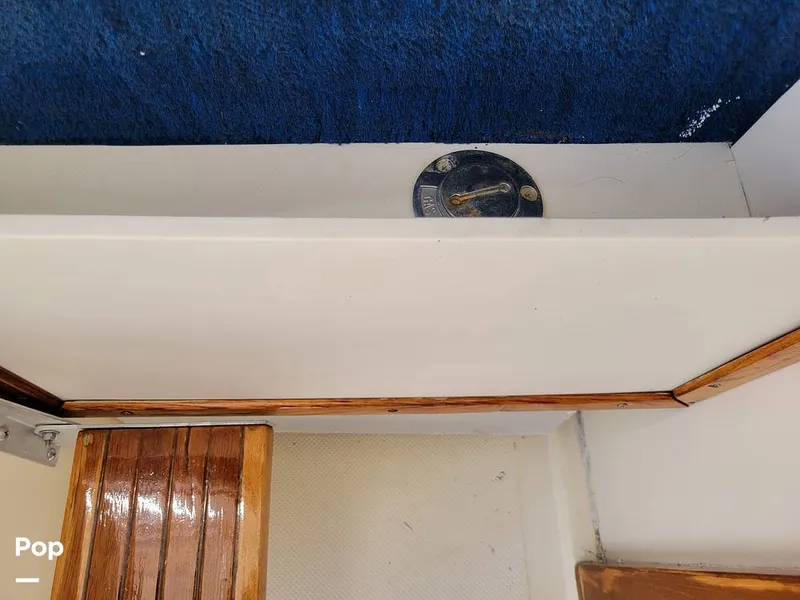 Slide: The Image of Hydra-Sports Vector 2500 WA 1990 - 15427903