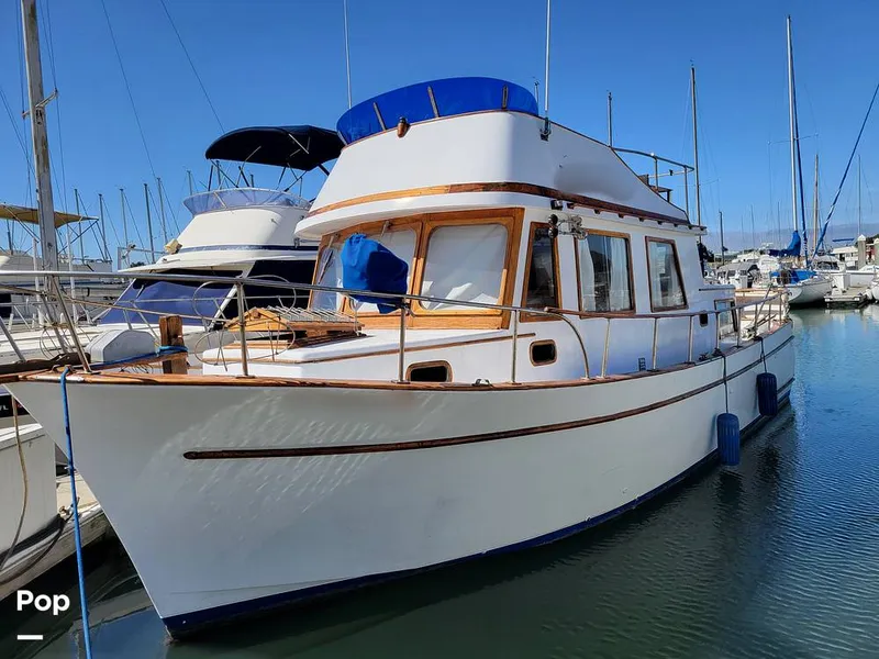 The Image of CHB 34 1976 - 15828890