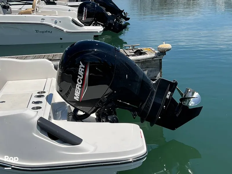 Slide: The Image of Trophy T22CC 2024 - 15432697