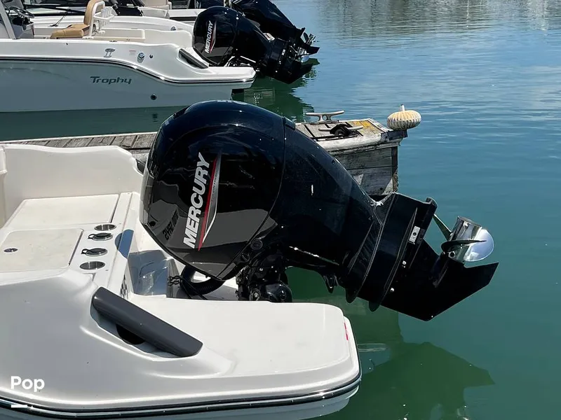 Slide: The Image of Trophy T22CC 2024 - 15432696