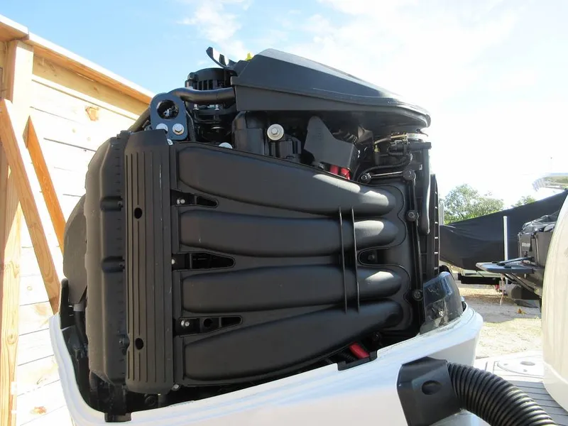 Slide: The Image of Monterey M45 2019 - 16075194