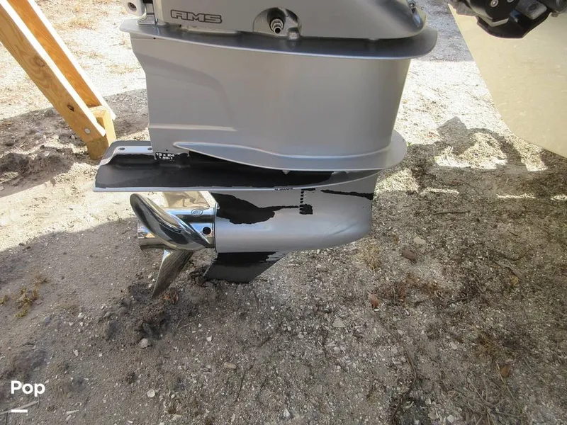 Slide: The Image of Monterey M45 2019 - 16075191