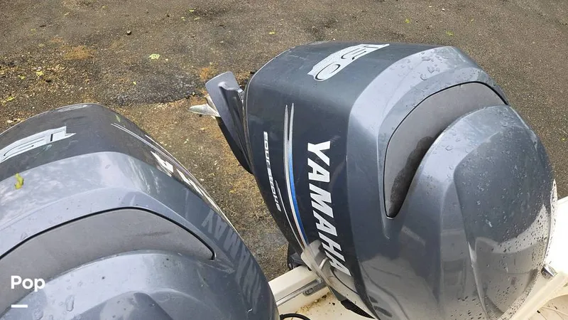 Slide: The Image of Scout 262 2009 - 15491503