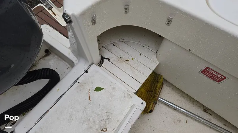 Slide: The Image of Scout 262 2009 - 15491505