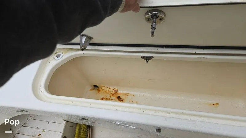 Slide: The Image of Scout 262 2009 - 15491507