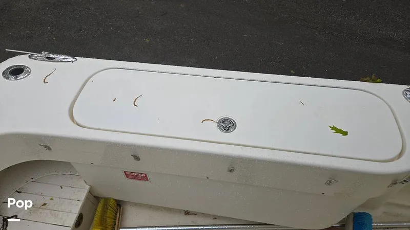 Slide: The Image of Scout 262 2009 - 15491508