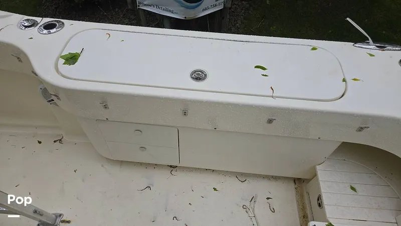 Slide: The Image of Scout 262 2009 - 15491509