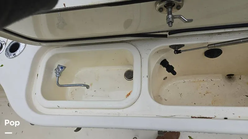 Slide: The Image of Scout 262 2009 - 15491510