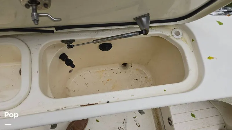 Slide: The Image of Scout 262 2009 - 15491511