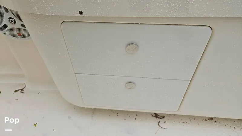 Slide: The Image of Scout 262 2009 - 15491512