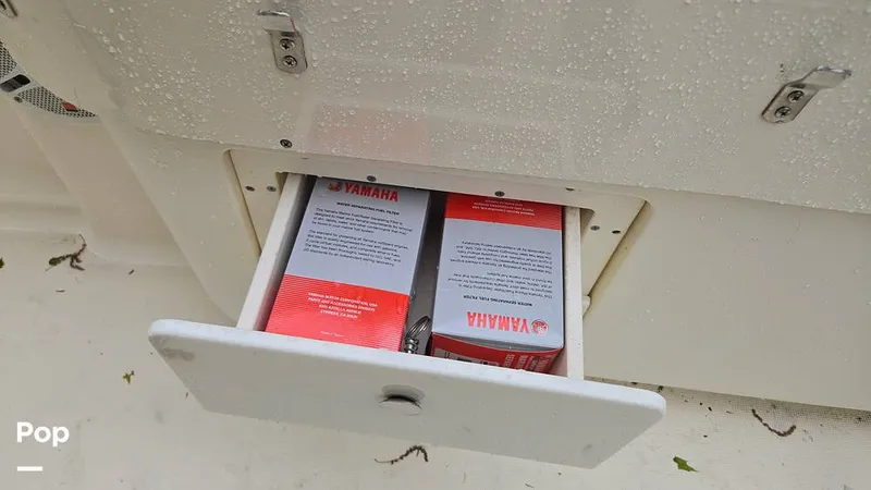 Slide: The Image of Scout 262 2009 - 15491513