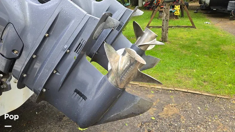 Slide: The Image of Scout 262 2009 - 15491514