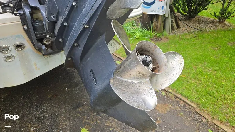 Slide: The Image of Scout 262 2009 - 15491516