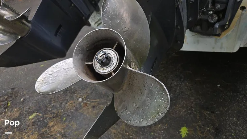 Slide: The Image of Scout 262 2009 - 15491518