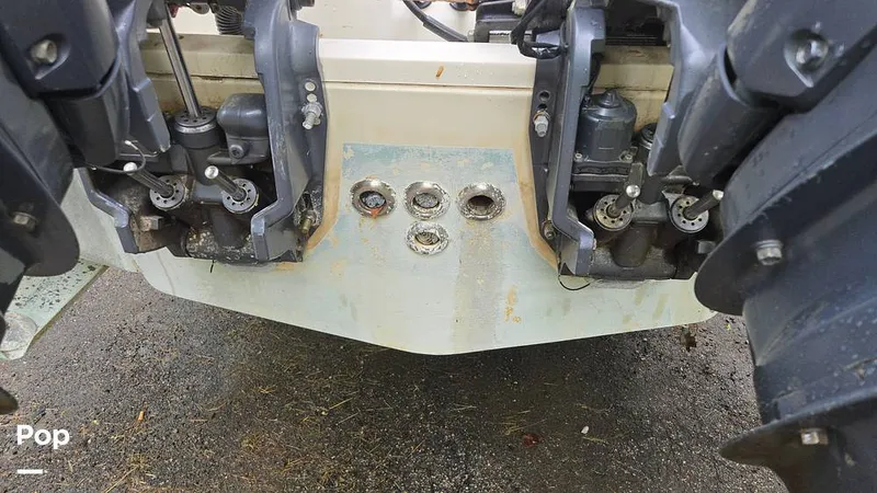 Slide: The Image of Scout 262 2009 - 15491519