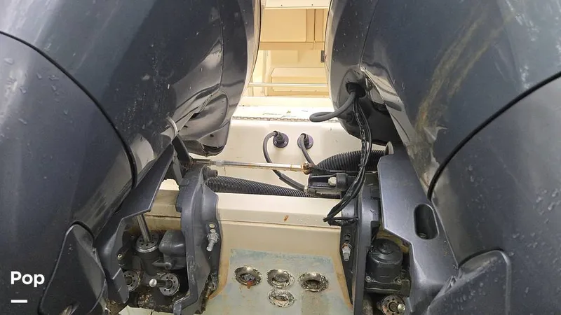 Slide: The Image of Scout 262 2009 - 15491520