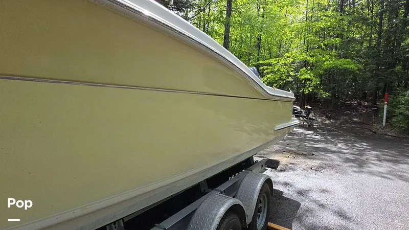 Slide: The Image of Scout 262 2009 - 15491408