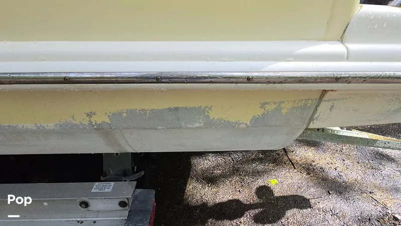 Slide: The Image of Scout 262 2009 - 15491416