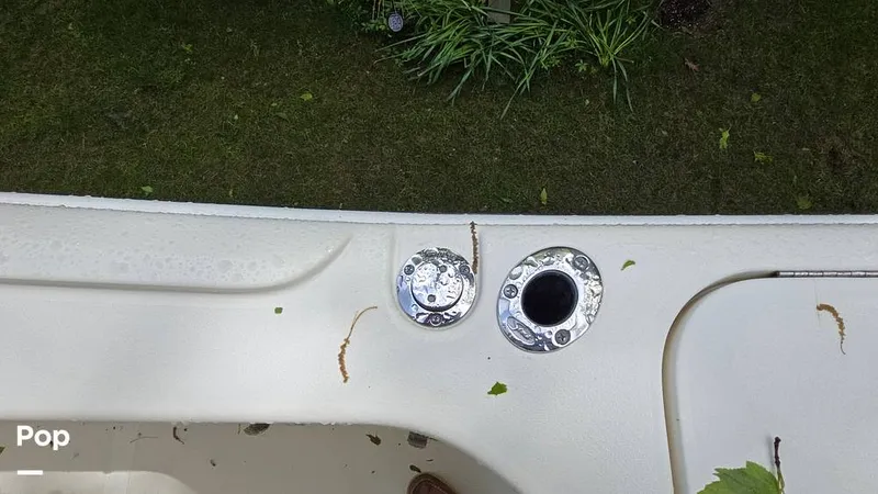 Slide: The Image of Scout 262 2009 - 15491440