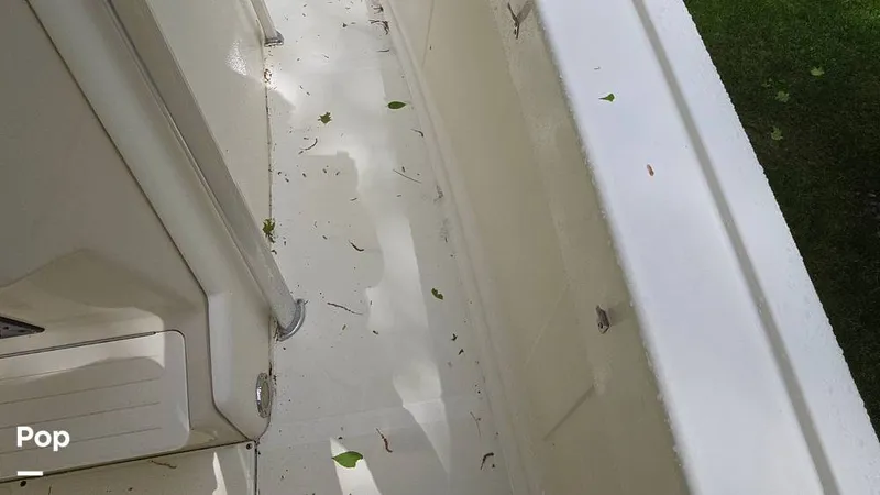 Slide: The Image of Scout 262 2009 - 15491441