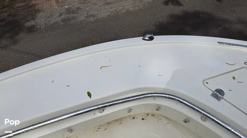 Slide: The Image of Scout 262 2009 - 15491448