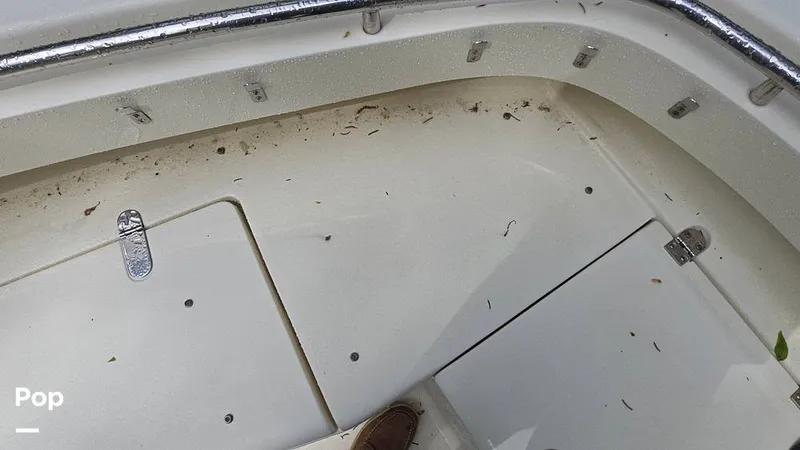 Slide: The Image of Scout 262 2009 - 15491449