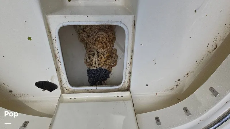 Slide: The Image of Scout 262 2009 - 15491450