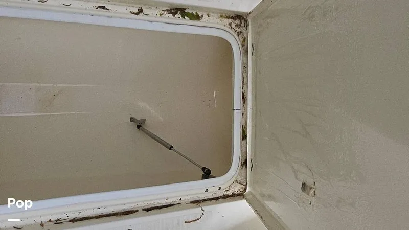 Slide: The Image of Scout 262 2009 - 15491453