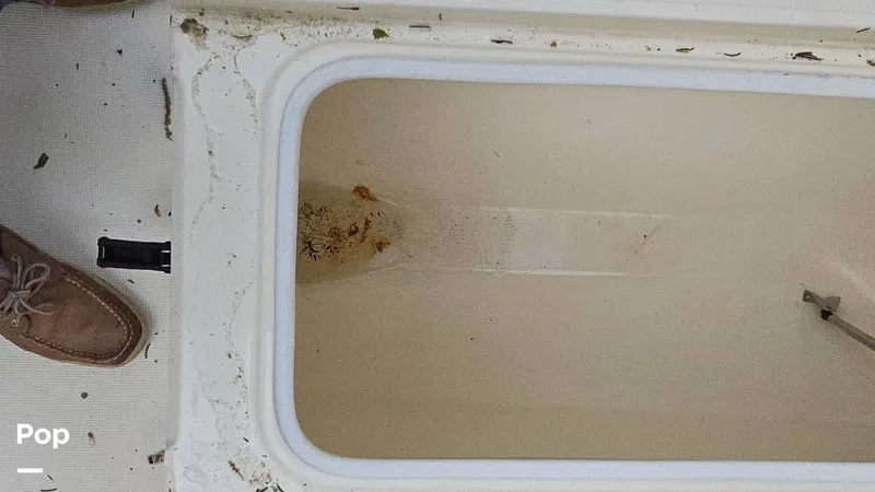 Slide: The Image of Scout 262 2009 - 15491454