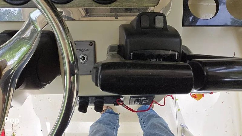 Slide: The Image of Scout 262 2009 - 15491485