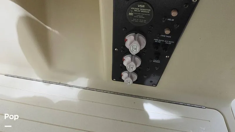 Slide: The Image of Scout 262 2009 - 15491489