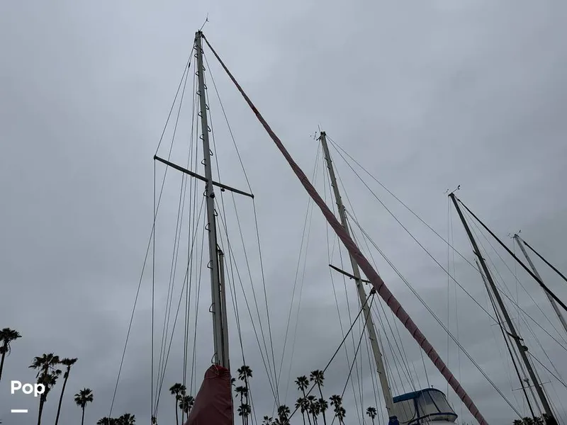 Slide: The Image of C&C Landfall 39 1986 - 15537751